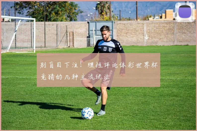 别盲目下注!理性评论体彩世界杯竞猜的几种主流玩法