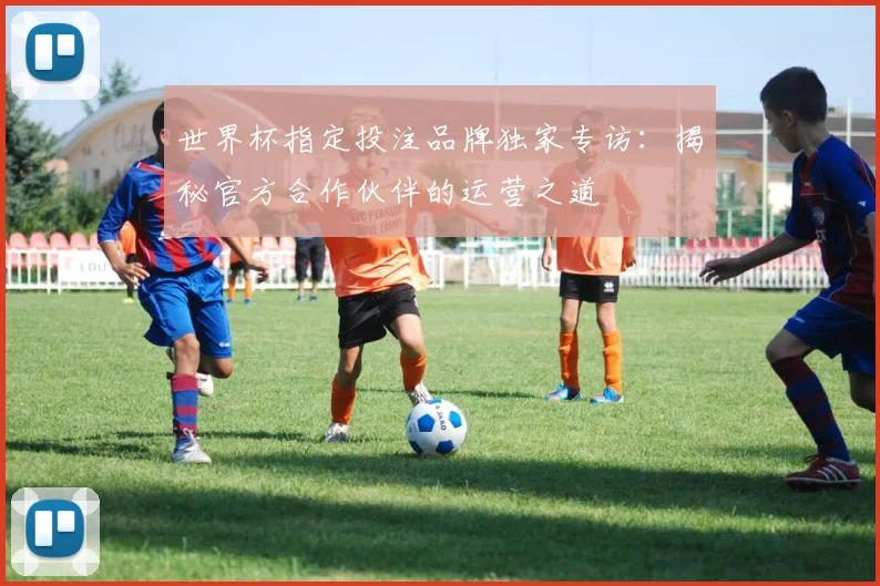 世界杯指定投注品牌独家专访:揭秘官方合作伙伴的运营之道