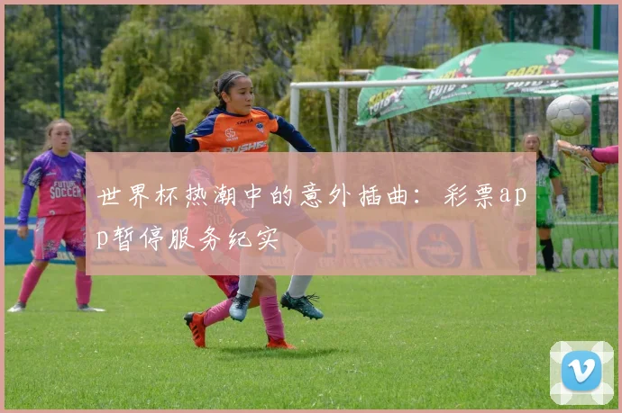 世界杯热潮中的意外插曲：彩票app暂停服务纪实