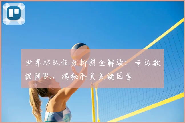 世界杯队伍分析图全解读:专访数据团队,揭秘胜负关键因素