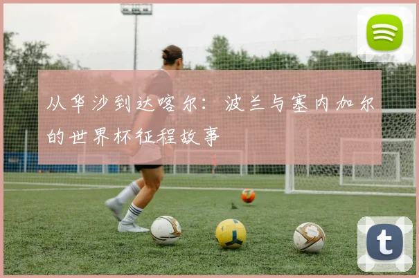 从华沙到达喀尔：波兰与塞内加尔的世界杯征程故事