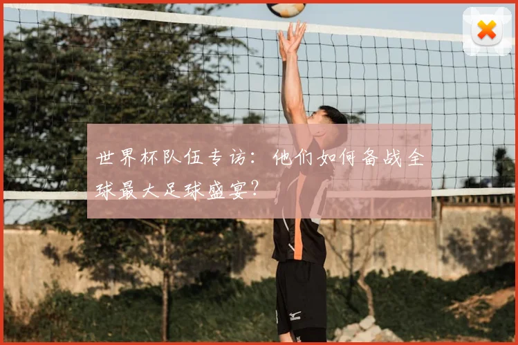 世界杯队伍专访:他们如何备战全球最大足球盛宴?