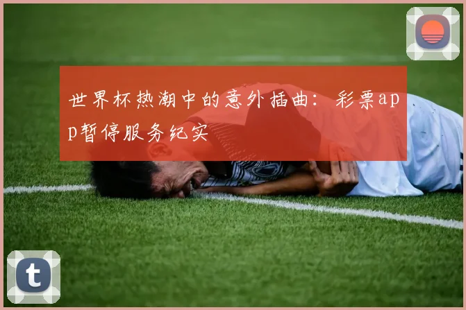 世界杯热潮中的意外插曲：彩票app暂停服务纪实