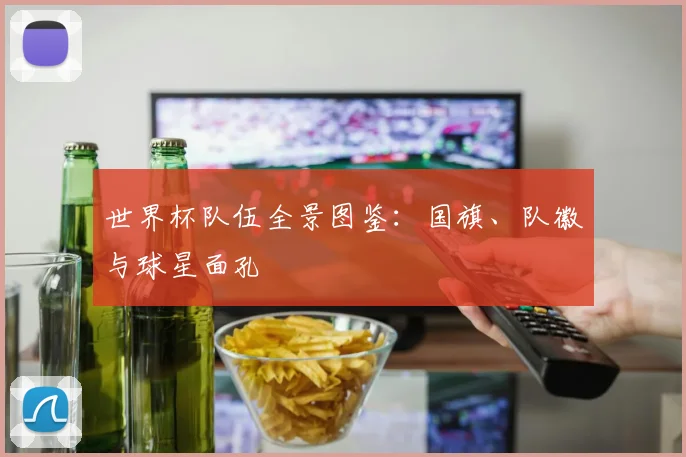 世界杯队伍全景图鉴:国旗、队徽与球星面孔