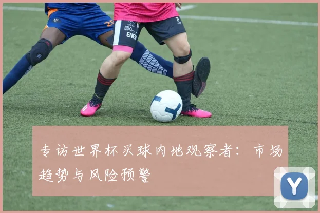 专访世界杯买球内地观察者:市场趋势与风险预警