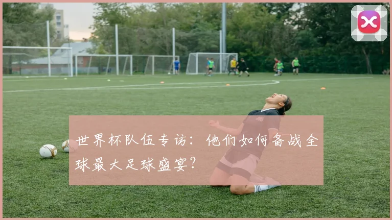 世界杯队伍专访:他们如何备战全球最大足球盛宴?