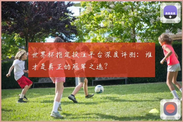 世界杯指定投注平台深度评测:谁才是真正的冠军之选?