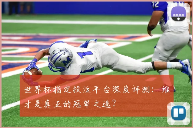 世界杯指定投注平台深度评测:谁才是真正的冠军之选?
