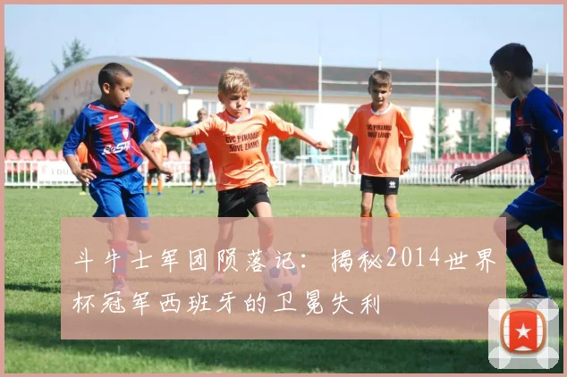 斗牛士军团陨落记：揭秘2014世界杯冠军西班牙的卫冕失利